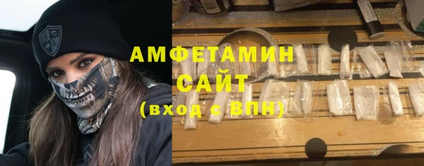 гашик Алексин