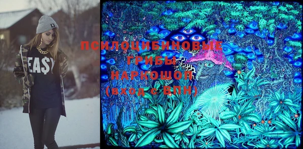 гашик Алексин