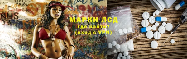 гашик Алексин