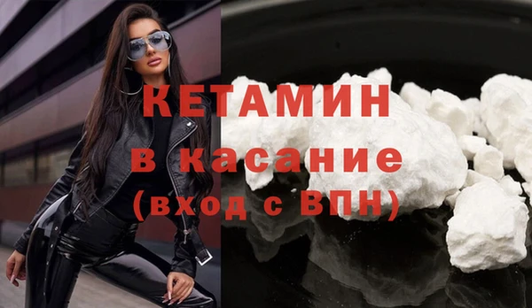 гашик Алексин