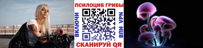omg tor  Тулун  Галлюциногенные грибы Magic Shrooms 