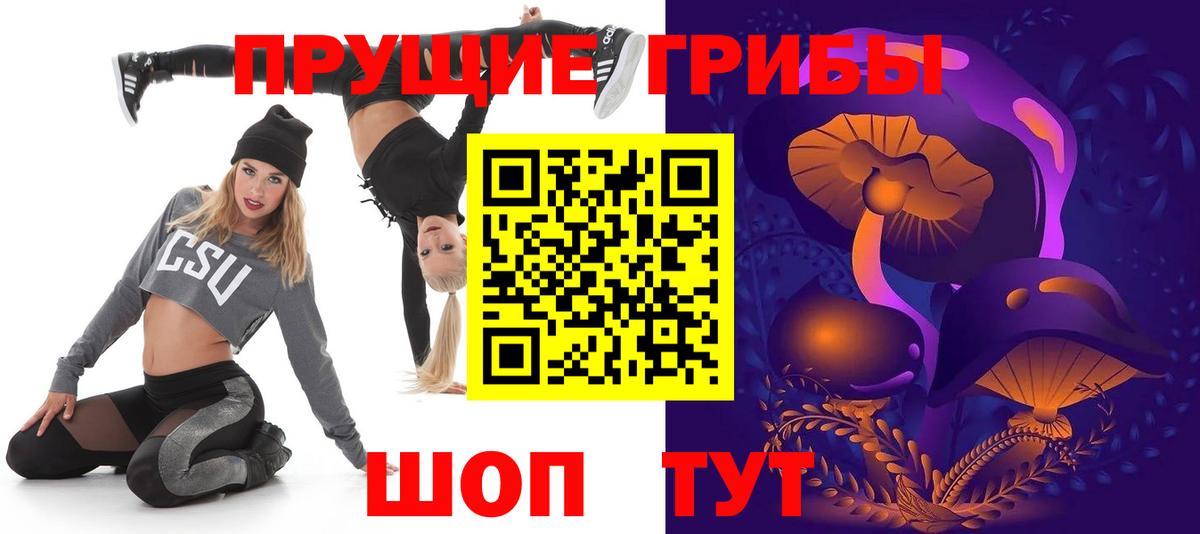 Псилоцибиновые грибы Psilocybe  Вход с VPN  Тулун 