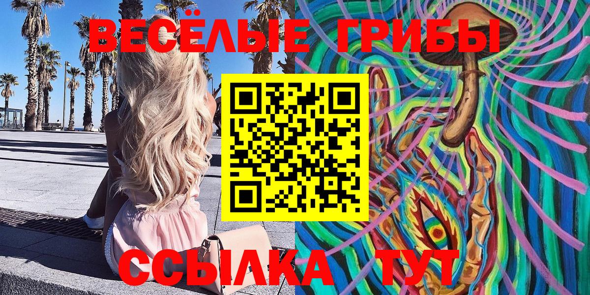 Псилоцибиновые грибы GOLDEN TEACHER Тулун